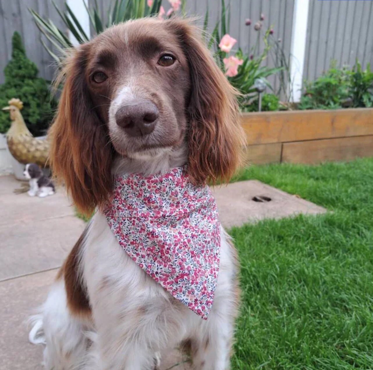 dog bandanas pink
