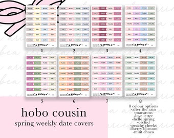 H040 NEW SPRING Weekly Hobonichi Cousin Date Cover Flags Planner Stickers