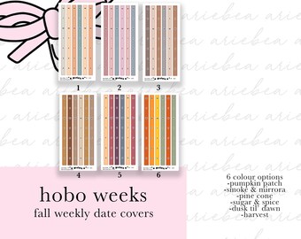 H018 NEW FALL WEEKLY Hobonichi Weeks Functional Date Cover Planner Stickers