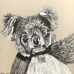 Original Art Koala Ink Drawing on Gray Toned Paper Artwork Size 6”x8”