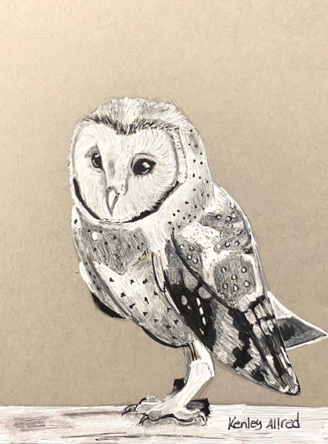 Original Art Owl Ink Drawing on Gray Toned Paper Artwork Size Etsy