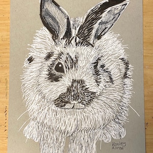 Original Art Bunny Rabbit Ink Drawing size 6”x8” Artwork
