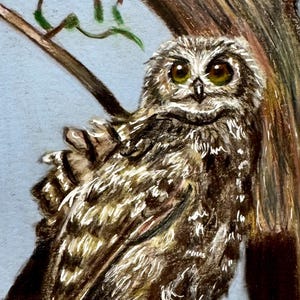 Original Art , Owl Art , Owl Lover Gift , Wall Art , Animal Artwork , Drawing on Paper , Colored Pencil Art , Small Drawing , Art , 4”x6”