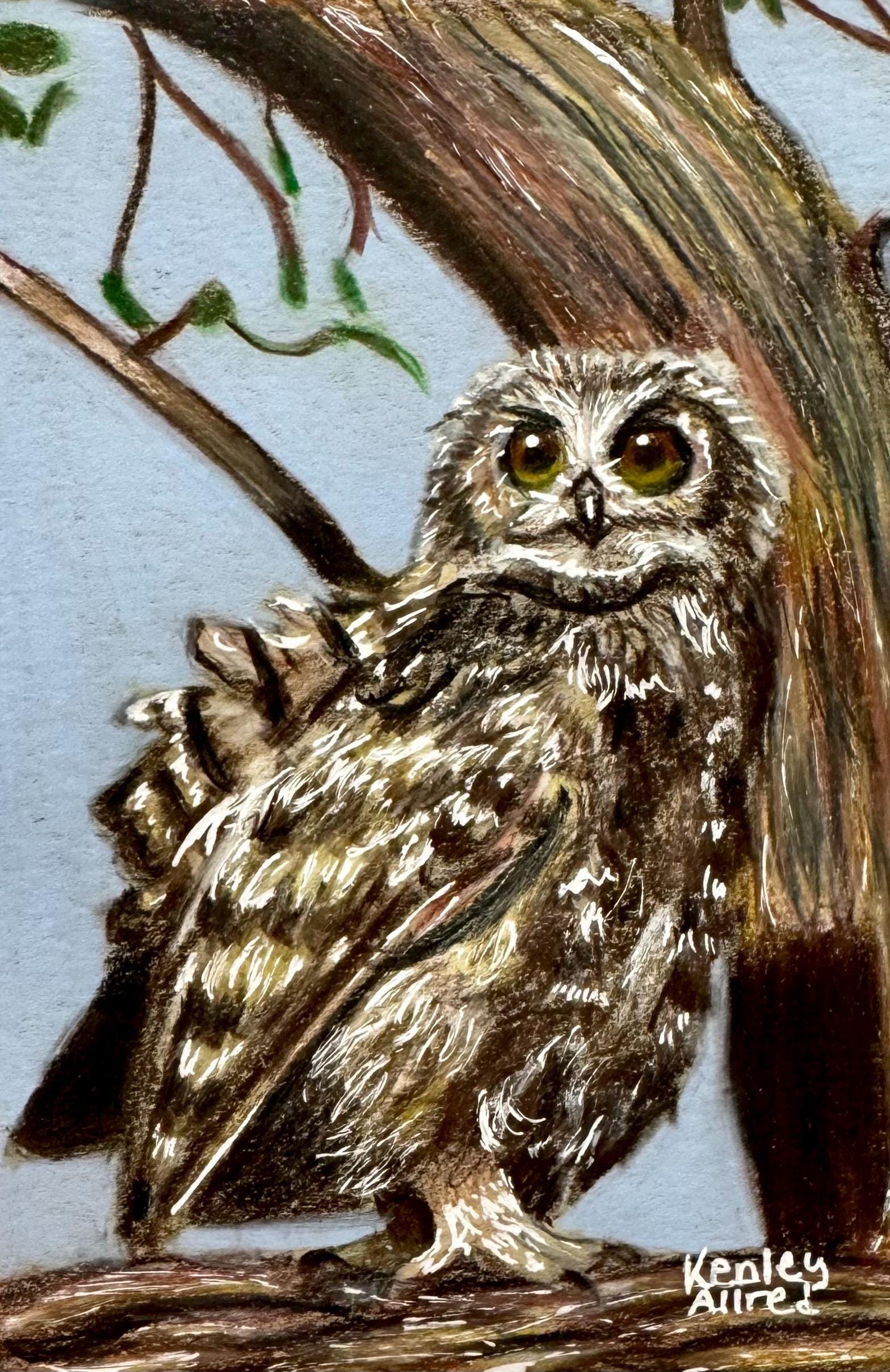 Original Art , Owl Art , Owl Lover Gift , Wall Art , Animal Artwork , Drawing on Paper , Colored Pen