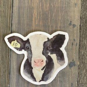 Holstein Calf Sticker