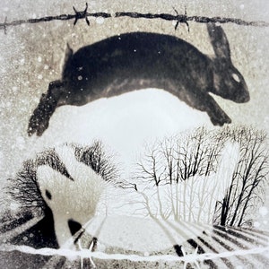 May include: A black and white photograph of a rabbit leaping over a barbed wire fence. The rabbit is silhouetted against a snowy background. The text "Watership Down" is written in the bottom left corner of the image.