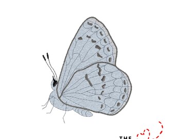 May include: A light blue embroidered butterfly with detailed wing patterns and dark spots. The butterfly is depicted in profile, showcasing its delicate antennae and body. The text "THE EMBROIDERY DESIGN SPOT" is in the lower right corner.