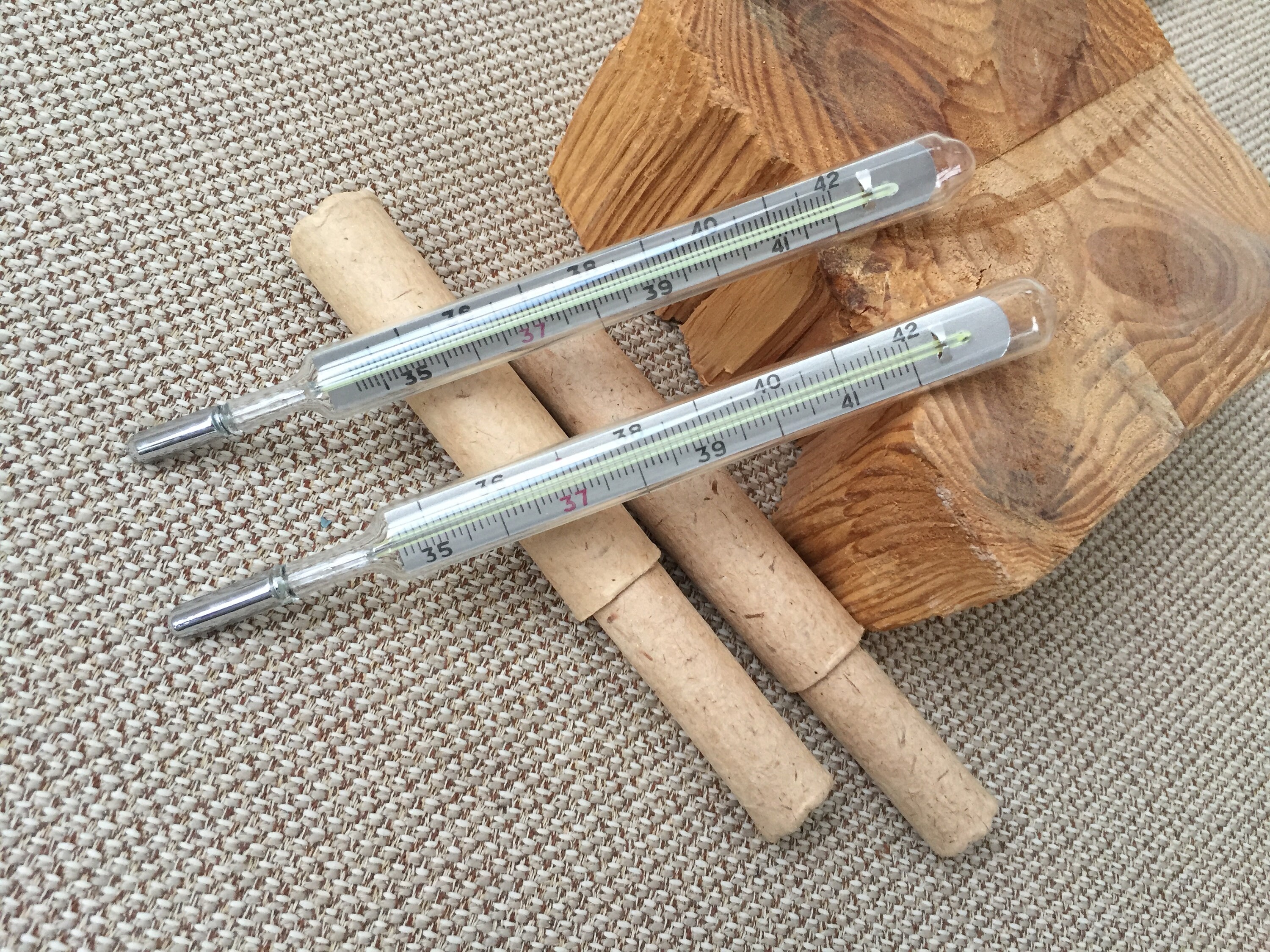 Two Medical thermometers in original case Vintage mercury Etsy