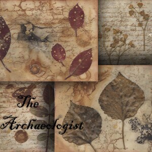 Cartões para impressão com tingimento ecológico. Conjunto de cartões de arte em folhas vintage com 3. 24 imagens de 4 x 6 ". Download instantâneo. 2 arquivos Zip. Formato JPeg. Download instantâneo.