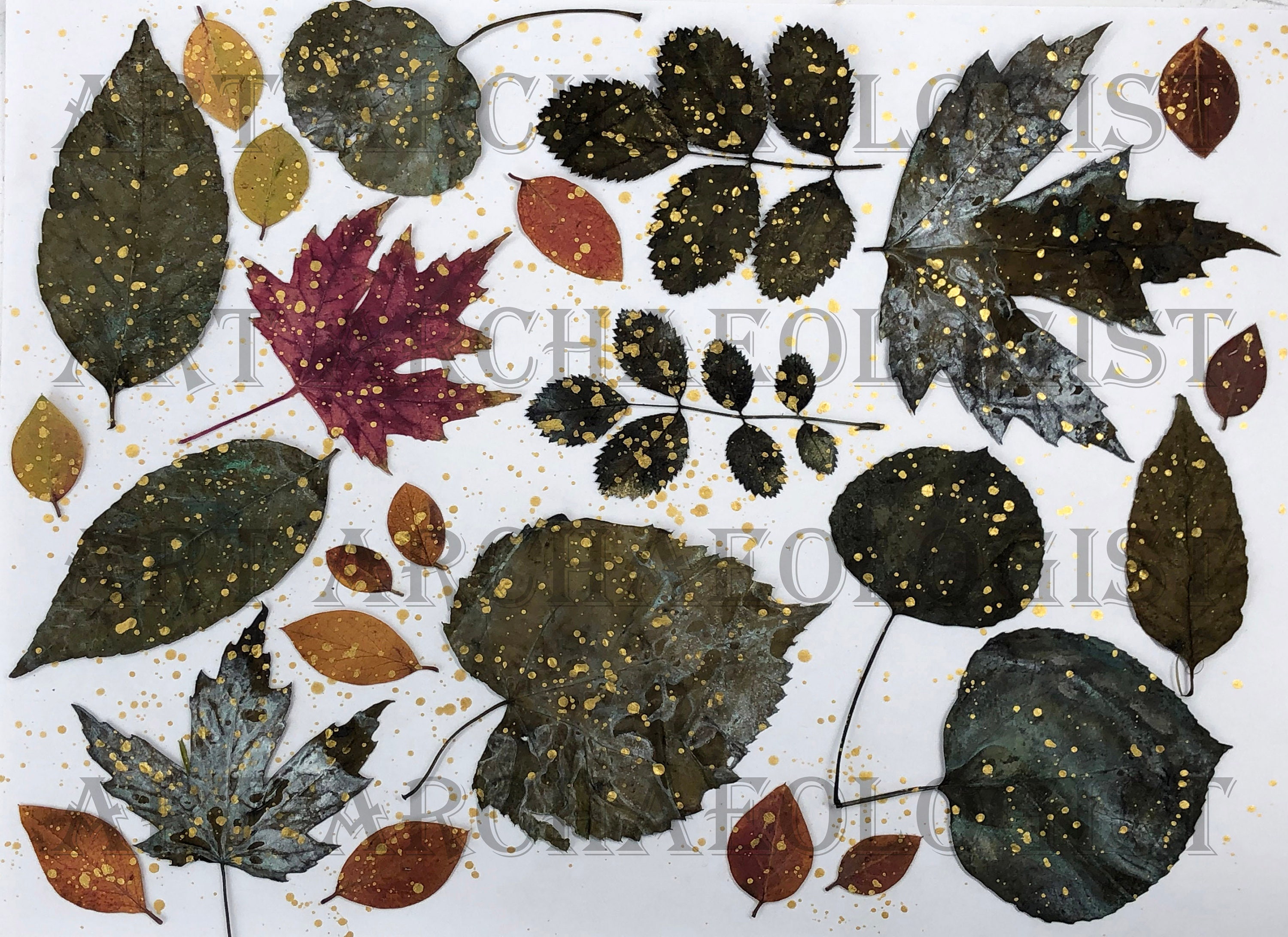 Pressed Leaf Printables. Leaf Photo Pages Kit 1. 30 8 X 11 Printable ...