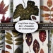 Pressed Leaf Printables. Leaf Photo Pages Kit 1. 30 8 X 11 Printable ...