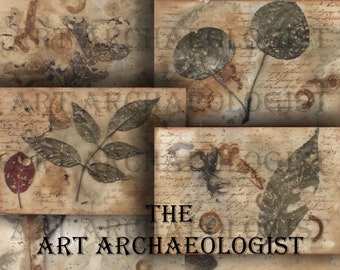 May include: A collage of four images featuring dried leaves and botanical specimens on a background of old, faded paper with handwritten text. The text reads "The Art Archaeologist".