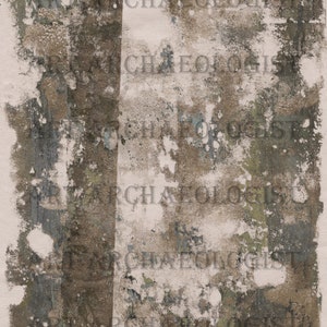 May include: A textured, abstract background with a vertical stripe of brown paint. The background is a mix of light and dark brown, gray, and white paint. The paint appears to be chipped and peeling, creating a distressed look.