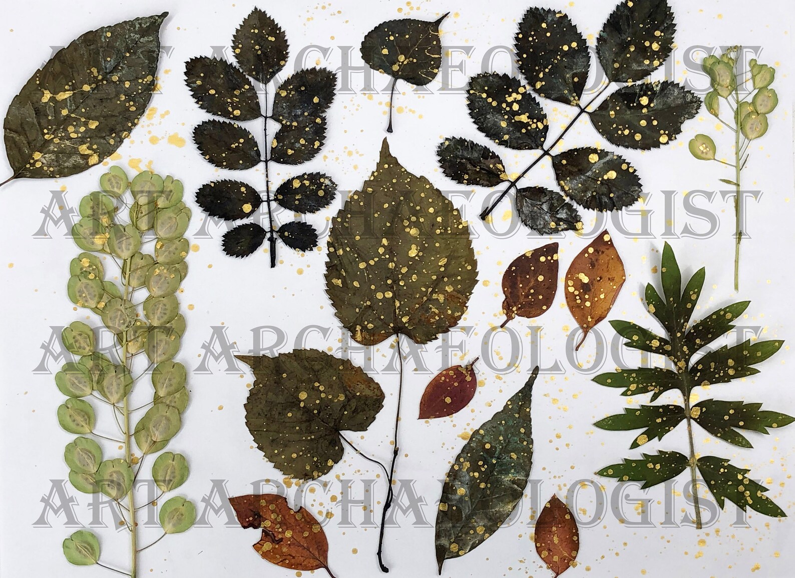 Pressed Leaf Printables. Leaf Photo Pages Kit 1. 30 8 X 11 Printable ...