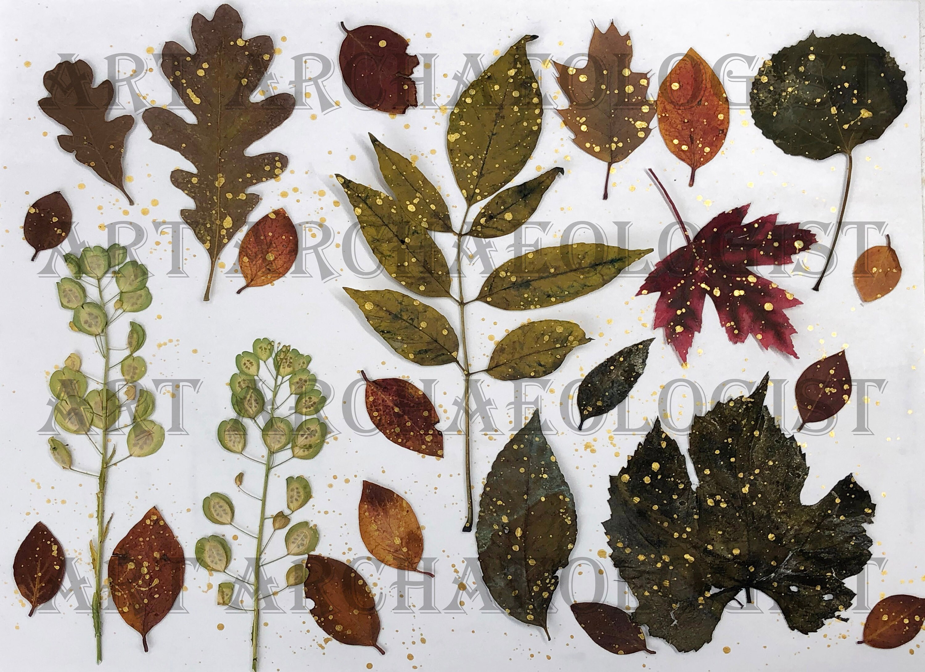 Pressed Leaf Printables. Leaf Photo Pages Kit 1. 30 8 X 11 Printable ...