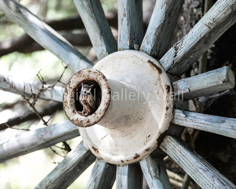 Rustic Print Printable Wall Decor Summer Decor Lake House Decor - Digital Download Farmhouse Decor Owl Wheel b/&w Cottage Decor