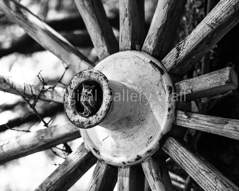 Rustic Print Printable Wall Decor Summer Decor Lake House Decor - Digital Download Farmhouse Decor Owl Wheel b/&w Cottage Decor