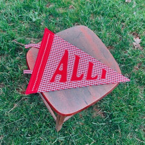 Custom Fabric Pennant -- Personalized & Handmade