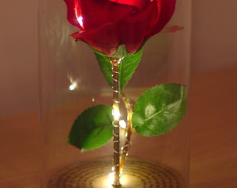 Song Lyrics / Poem / Message Birthday or Anniversary Rose in a Dome