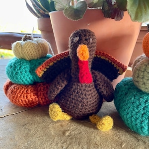 Crochet amigurumi stuffed turkey, Turkey Decor, Thanksgiving centerpiece, Mantel or table fall decor, Holiday Turkey plush, Autumn decor