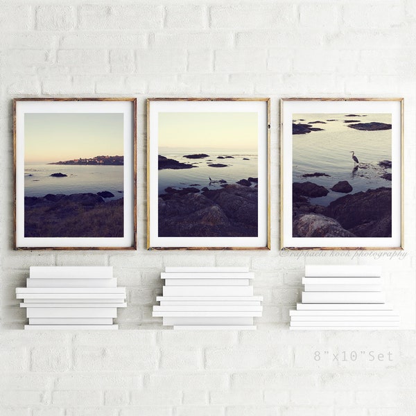 At Daybreak Series, Set of 3, Seascape, Morning View in the Island, Victoria, Vancouver Island, British Columbia, Home Decor Wall Art