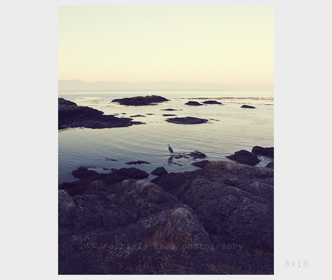At Daybreak No.2, Morning View in the Island, Crane, Seascape, Nature ...