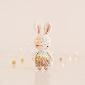 Meute de lapin 5 modèles Modèle au crochet FR-SP-IT image 4