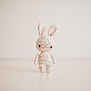 Pack conejos 5 diseños Patrón de crochet EN-SP IT imagen 7