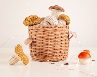 Forgotten Mushrooms Pack | crochet pattern | SPA - ENG