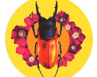 Yellow Beetle - Original Handcut Botanical Collage