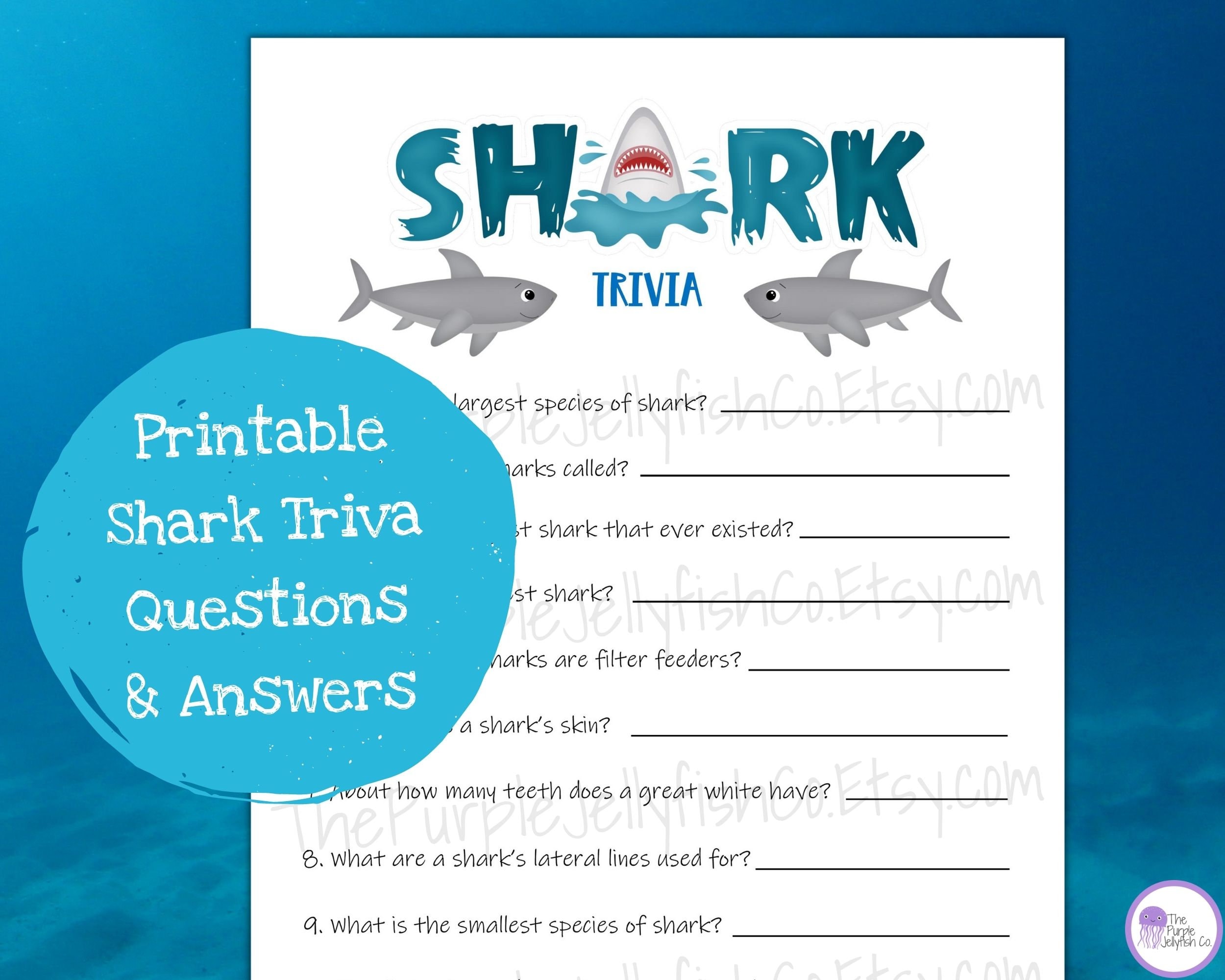 Shark Week Trivia, Games