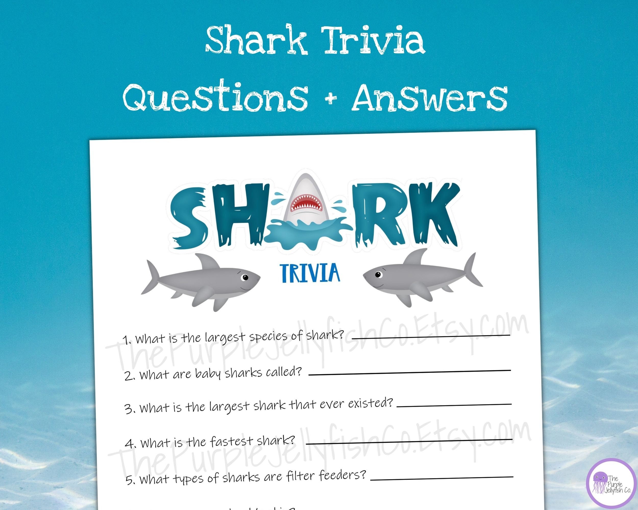 Shark Week Trivia, Games