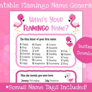 Flamingo Name Game, Printable Flamingo Sign, Summer Activity for Kids, Whats Your Name Game, Flamingo Birthday Party Decor, Name Generator
