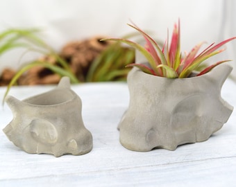 Planter Pot - Concrete, Medium Skull Concrete Succulent Planter, Office Decor, Home Decor, Desktop Planter, Unique Planter, Indoor Planter