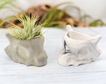 Planter Pot - Concrete, Small Skull Planter, Concrete Air Plant/Succulent Planter, Office Decor, Home Decor, Unique Planter