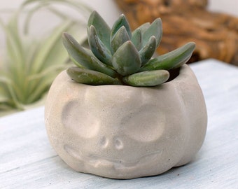 Jack Olantern Planter, Pumpkin Succulent Planter, Concrete Planter, Halloween Planter, Pumpkin Planter