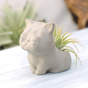 Handmade Concrete Cat Air Plant Holder, Desk Decor
