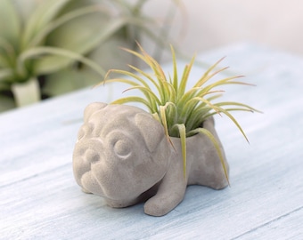 Beton kleiner Mops Airplant & Sukkulenten Pflanzer, Hochzeitsgeschenke, Haus und Büro Dekor, moderner Pflanzer, Airplant Halter, einzigartiger Pflanzer