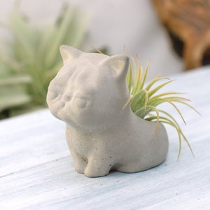 Maceta de hormigón, soporte para plantas de aire de hormigón con forma de gato (pequeño), regalos de boda con forma de gato, decoración para el hogar y la oficina, bonita maceta con forma de gato, maceta única