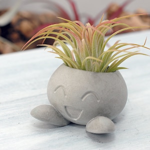 Succulent Planter, Small Radish Anime Creature, Concrete Planter, Office Décor, Home Décor, Cute Concrete Planter, Indoor Planter Concrete Grey