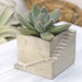 see more listings in the Fun Unique Planters section