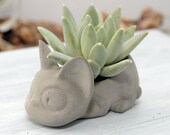 Concrete Medium Jiji the Cat Succulent Planter Studio Ghibli Office Decor Home Decor Kiki 39 s Delivery Service Miyazaki