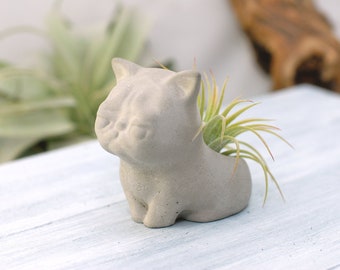 Concrete Planter, Concrete Cat Air Plant holder - Small, Cat Wedding Favors, Home & Office Décor, Cute Cat Planter, Unique Planter