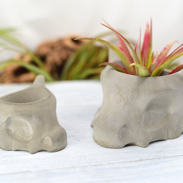 Planter Pot - Concrete, Medium Skull Concrete Succulent Planter, Office Decor, Home Decor, Desktop Planter, Unique Planter, Indoor Planter