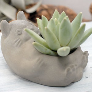 Planter Pot - Concrete, My Neighbor Anime Creature Planter, Concrete Planter, Office Décor, Home Décor, Indoor Planter, Unique Planter