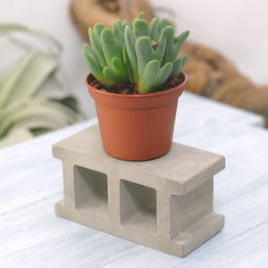 Concrete Display Stand Mini Cinder Block Display Stand Cinder Block Jewelry Display Product Display image 1