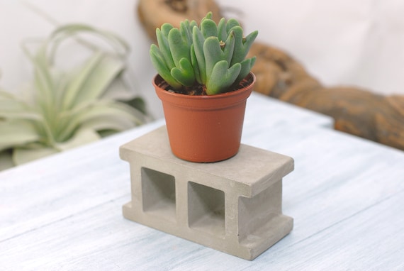 Concrete Display Stand Mini Cinder Block Display Stand Etsy
