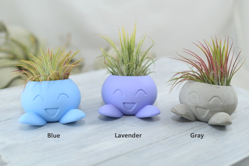 Succulent Planter, Small Radish Anime Creature, Concrete Planter, Office Décor, Home Décor, Cute Concrete Planter, Indoor Planter image 2