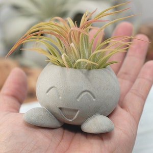 Succulent Planter, Small Radish Anime Creature, Concrete Planter, Office Décor, Home Décor, Cute Concrete Planter, Indoor Planter image 3