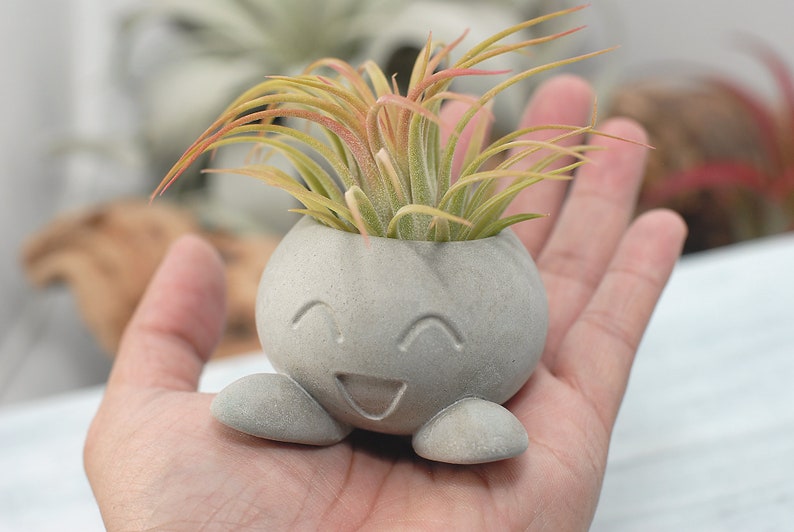 Succulent Planter, Small Radish Anime Creature, Concrete Planter, Office Décor, Home Décor, Cute Concrete Planter, Indoor Planter image 3